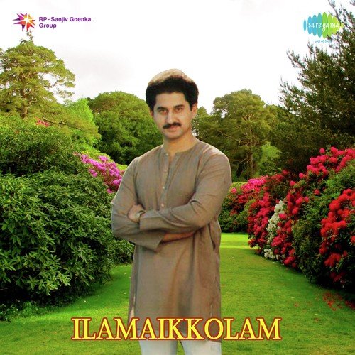 download S. Janaki  Kannan Naalum mp3 Single Tracks song 