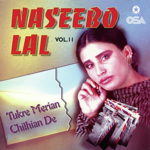 download Naseebo Lal  Kar Tukre Merian Chithian De mp3 Single Tracks song 