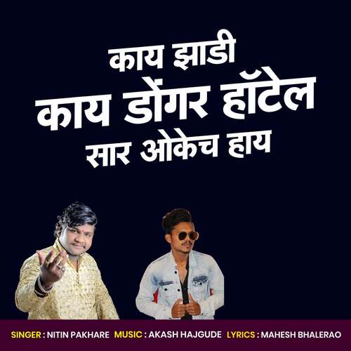 download Niitin Pakhare  Kay Zadi Kay Dongar Hotel Sar Okech Hay mp3 Single Tracks song 