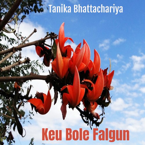 download   Keu Bole Falgun mp3 Single Tracks song 