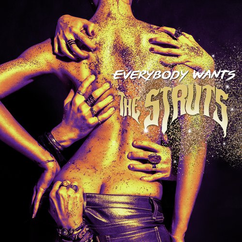 download The Struts  Kiss This mp3 Single Tracks song 