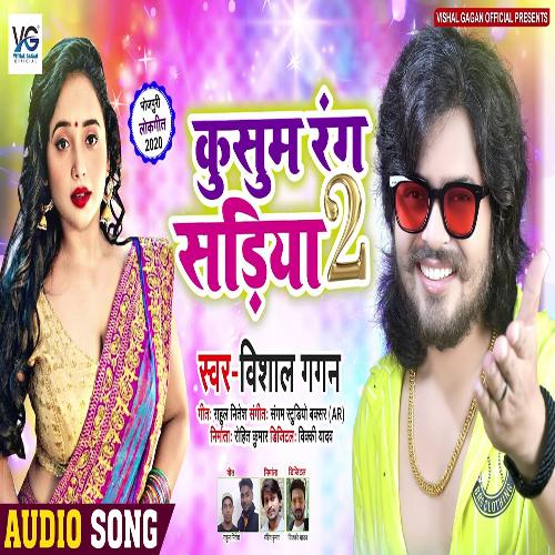 download Vishal Gagan  Kusum Rang Sadiya 2 mp3 Single Tracks song 