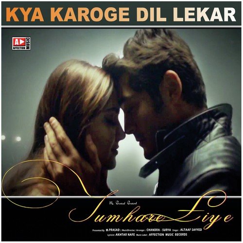 download Altaaf Sayyed  Kya Karoge Dil Lekar mp3 Single Tracks song 