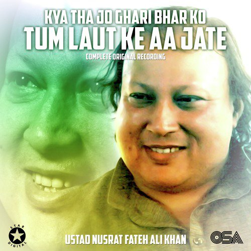 download Nusrat Fateh Ali Khan  Kya Tha Jo Ghari Bhar Ko Tum Laut Ke Aa Jate mp3 Single Tracks song 