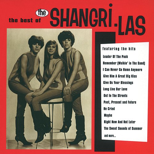 download The Shangri-Las  Leader Of The Pack mp3 Single Tracks song 