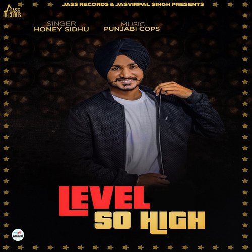 download Honey Sidhu  Level So High mp3 Single Tracks song 