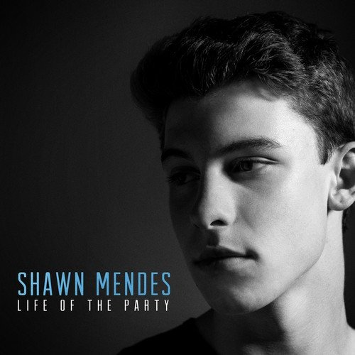 download Shawn Mendes  Life Of The Party mp3 Single Tracks song 