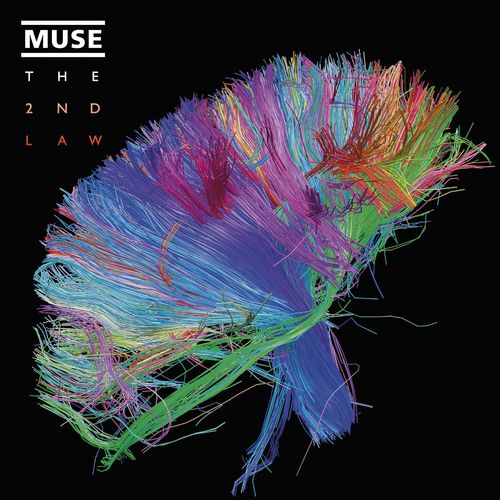 download Muse  Madness mp3 Single Tracks song 