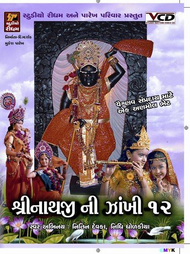 download Nidhi Dholkiya  Mane Game Srinathjina Dham Ma mp3 Single Tracks song 