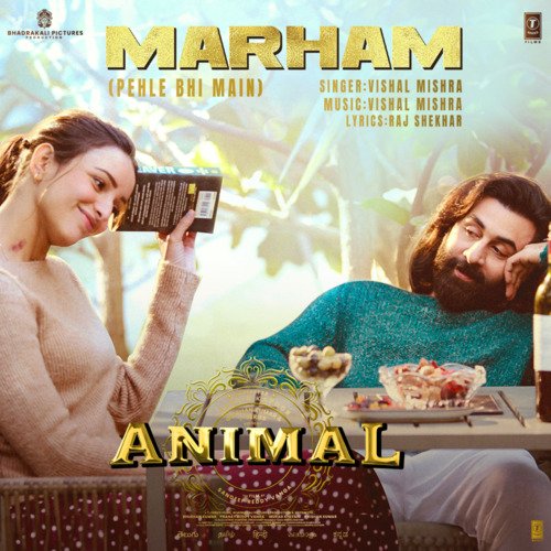 download Vishal Mishra, Raj Shekhar  Marham From ANIMAL mp3 Single Tracks song 