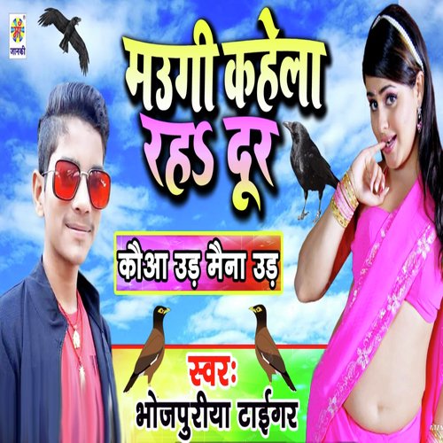 download Bhojpuriya Tiger  Maugi Kahela Rah Dur mp3 Single Tracks song 