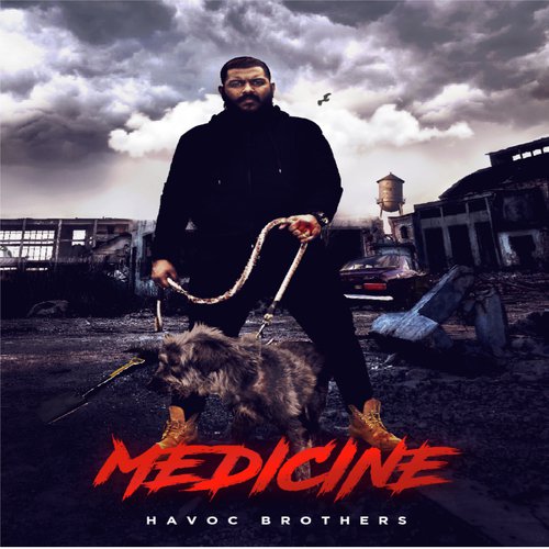 download Havoc Brothers  Medicine mp3 Single Tracks song 