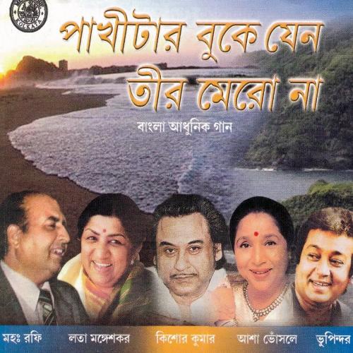 download Asha Bhosle  Mehedir Rang Makhano mp3 Single Tracks song 