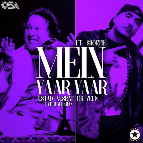 download Dr Zeus, Ustad Nusrat Fateh Ali Khan  Mein Yaar Yaar mp3 Single Tracks song 