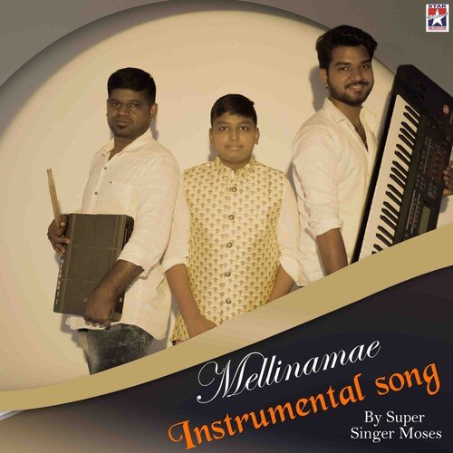 download   Mellinamae Instrumental Song mp3 Single Tracks song 