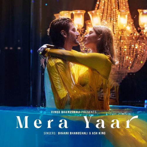 download   Mera Yaar mp3 Single Tracks song 