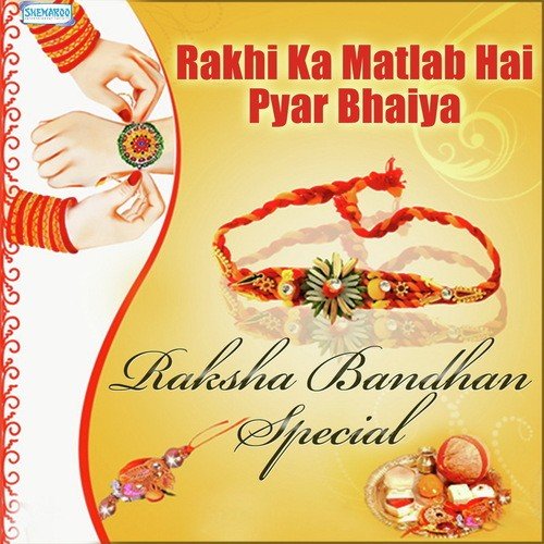 download Sadhana Sargam  Mere Rakhi Ka Matlab mp3 Single Tracks song 