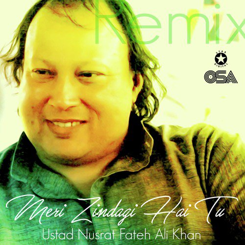 download Nusrat Fateh Ali Khan  Meri Zindagi Hai Tu mp3 Single Tracks song 