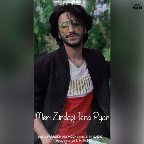 download Farrukh Ali Moon  Meri Zindagi Tera Pyar mp3 Single Tracks song 