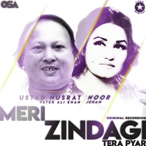 download Noor Jehan, Ustad Nusrat Fateh Ali Khan  Meri Zindagi Tera Pyar mp3 Single Tracks song 