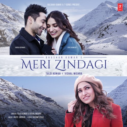 download Tulsi Kumar, Vishal Mishra, Javed-Mohsin  Meri Zindagi mp3 Single Tracks song 