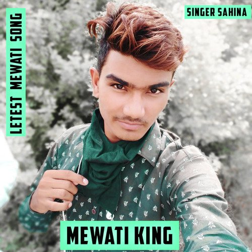 download Sahina Films  Mewati King mp3 Single Tracks song 