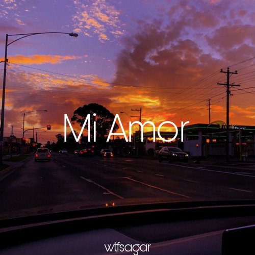 download wtfsagar  Mi Amor mp3 Single Tracks song 