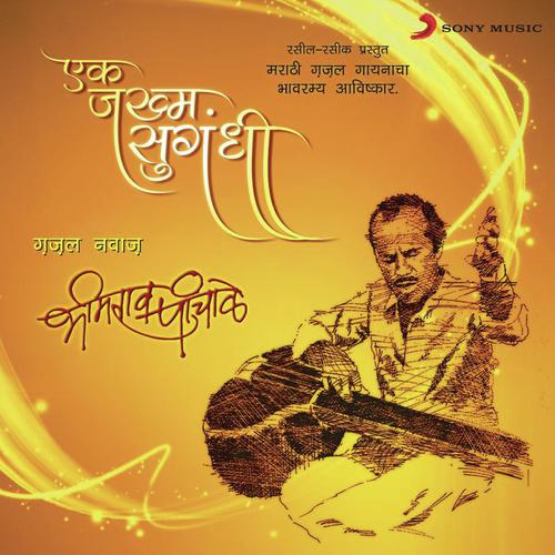 download Bhimrao Panchale  Mi Kinare Sarakatana Pahile mp3 Single Tracks song 