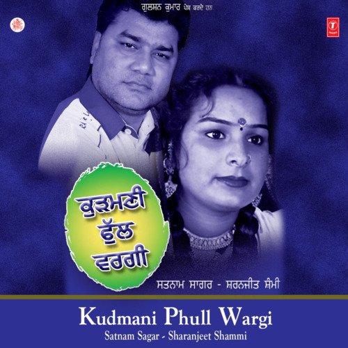 download Satnam Sagar, Sharanjeet Shammi  Mile Baajhon Naiyo Sarda mp3 Single Tracks song 