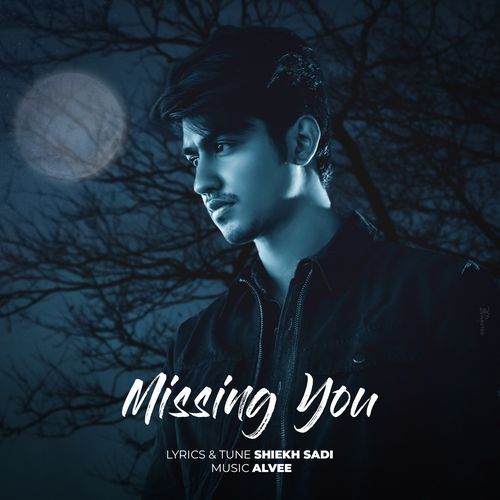 download   Missing You mp3 Single Tracks song 