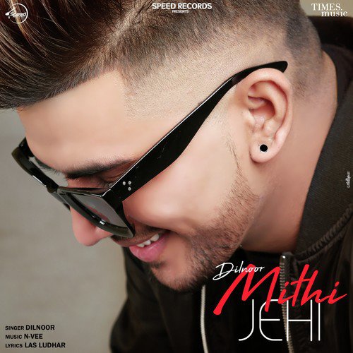 download Dilnoor  Mithi Jehi mp3 Single Tracks song 