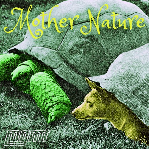 download MGMT  Mother Nature mp3 Single Tracks song 