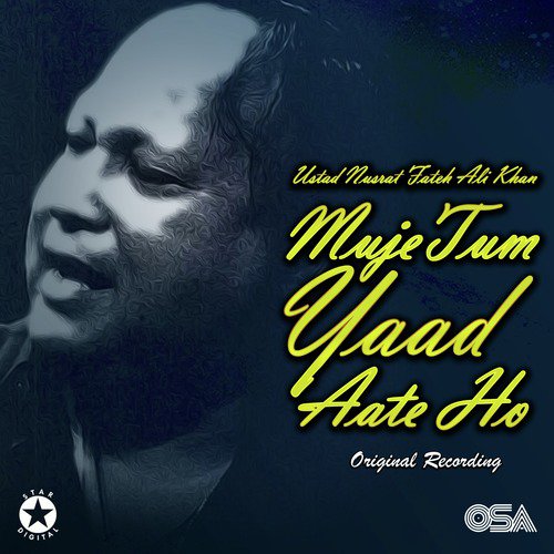 download Nusrat Fateh Ali Khan  Mujhe Tum Yaad Aate Ho mp3 Single Tracks song 