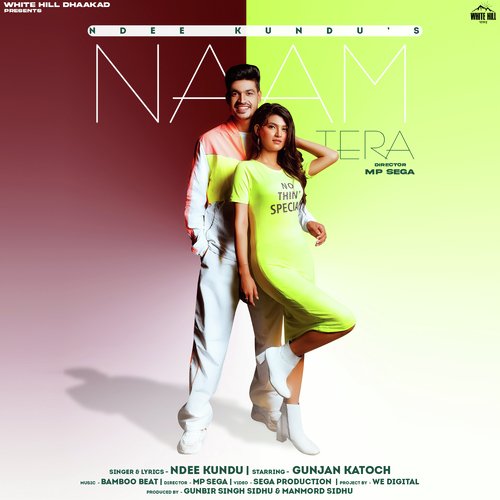 download Ndee Kundu  Naam Tera mp3 Single Tracks song 