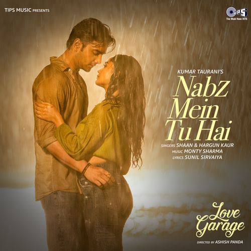 download   Nabz Mein Tu Hai mp3 Single Tracks song 