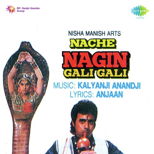 download   Nache Nagin Gali Gali mp3 Single Tracks song 