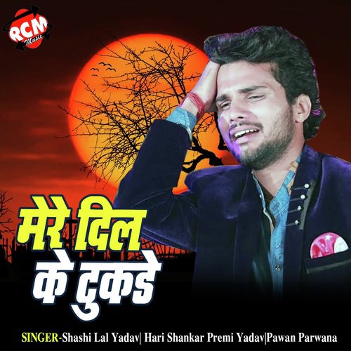 download   Nahi Dukhai Tohar mp3 Single Tracks song 