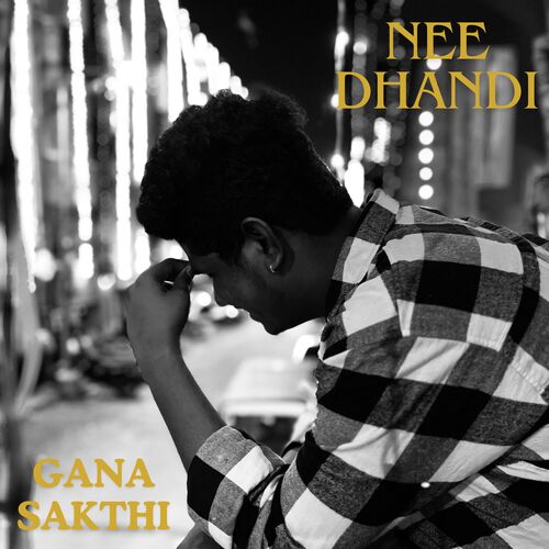 download   Nee Dhandi mp3 Single Tracks song 