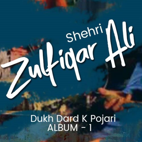 download Zulfiqar Ali Shehri  Nee Tere Naal Payar mp3 Single Tracks song 