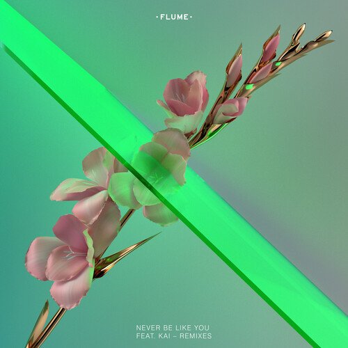 download Flume  Never Be Like You mp3 Single Tracks song 