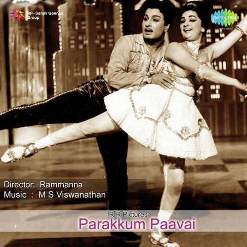 download P. Susheela, T.M. Soundararajan  Nilavenna Aadai mp3 Single Tracks song 