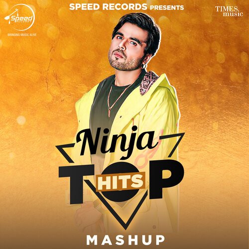 download Ninja  Ninja Top Hits Mashup mp3 Single Tracks song 