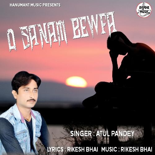 download   O Sanam Bewafa mp3 Single Tracks song 