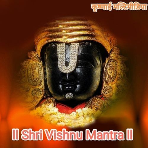 download Mahesh B Patil  Om Namo Bhagavate Vasudevay mp3 Single Tracks song 