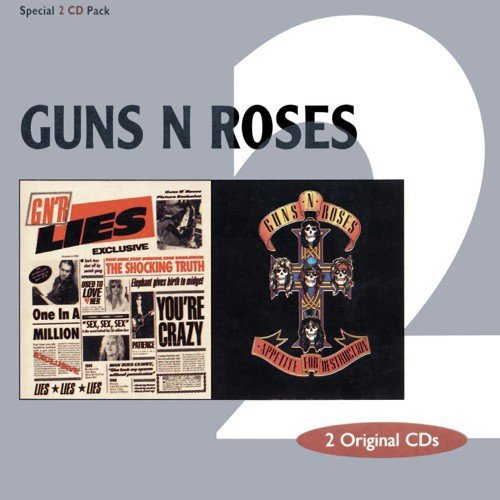 download Guns N' Roses  One In A Million mp3 Single Tracks song 