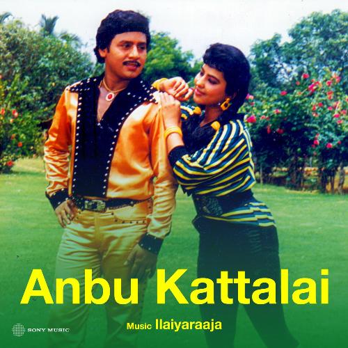 download Ilaiyaraaja  Oru Koottin Kiligaldhaan mp3 Single Tracks song 