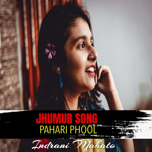 download   PAHARI PHOOL mp3 Single Tracks song 