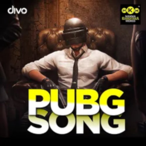 download   PUBG Song mp3 Single Tracks song 