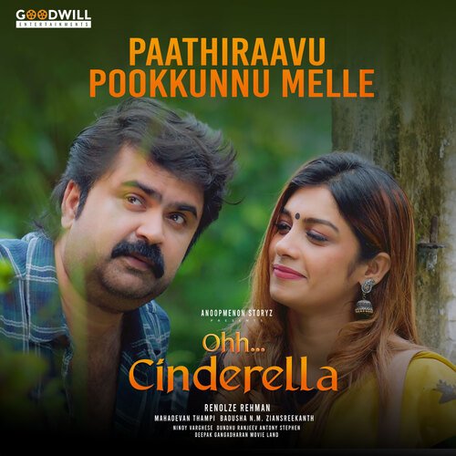 download   Paathiraavu Pookkunnu Melle mp3 Single Tracks song 