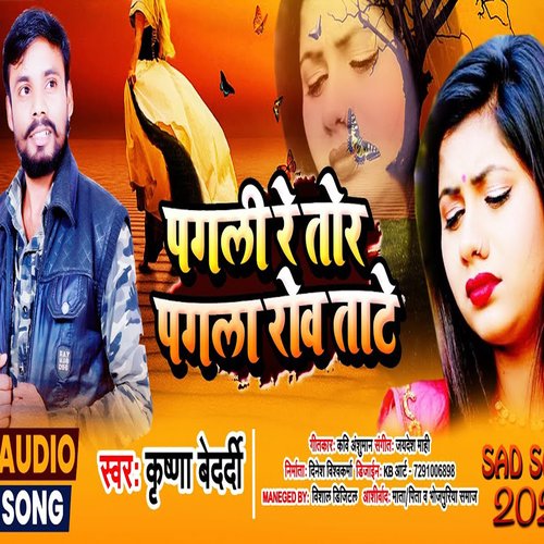 download Krishna Bedardi  Pagli Re To Pagla Rova Tate mp3 Single Tracks song 